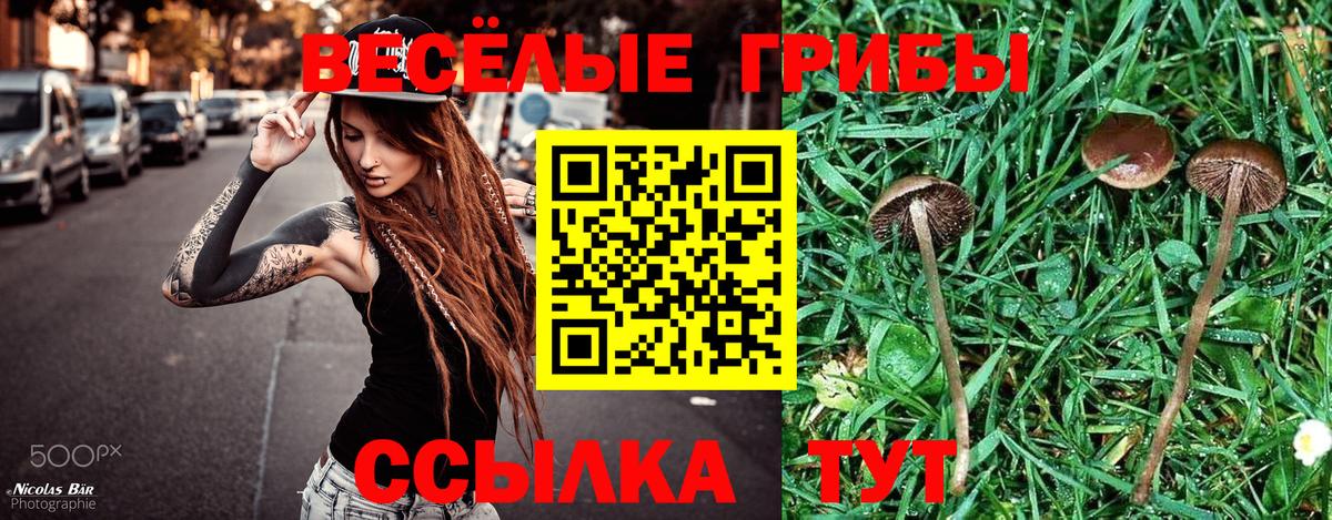 Галлюциногенные грибы MAGIC MUSHROOMS Новодвинск