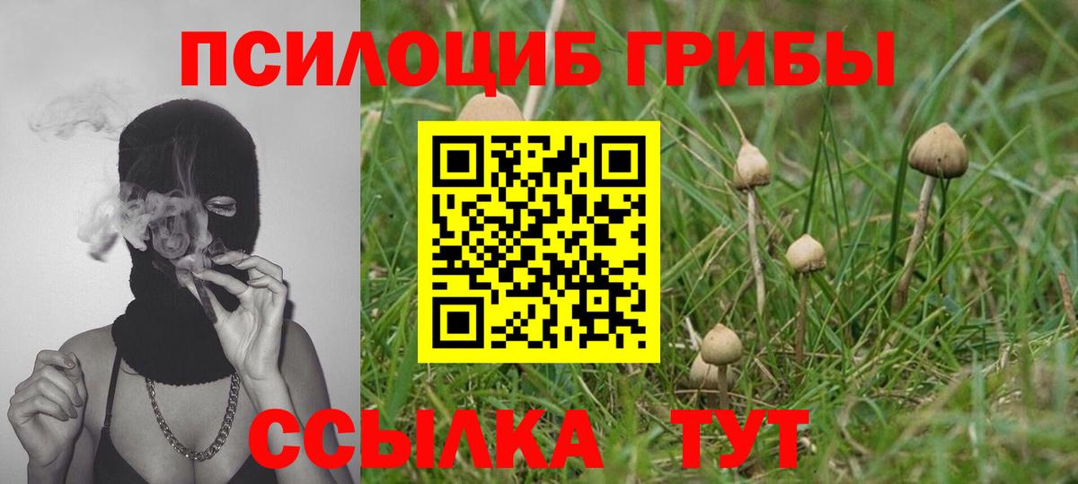 где купить наркоту  Галлюциногенные грибы ЛСД  Псилоцибиновые грибы ЛСД  Вход с VPN  Новодвинск 
